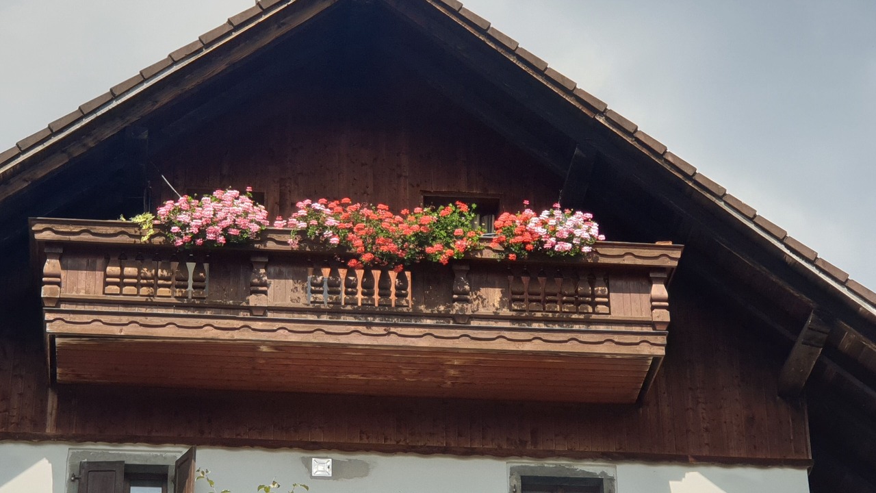 Photo of Outdoor in Ovaro