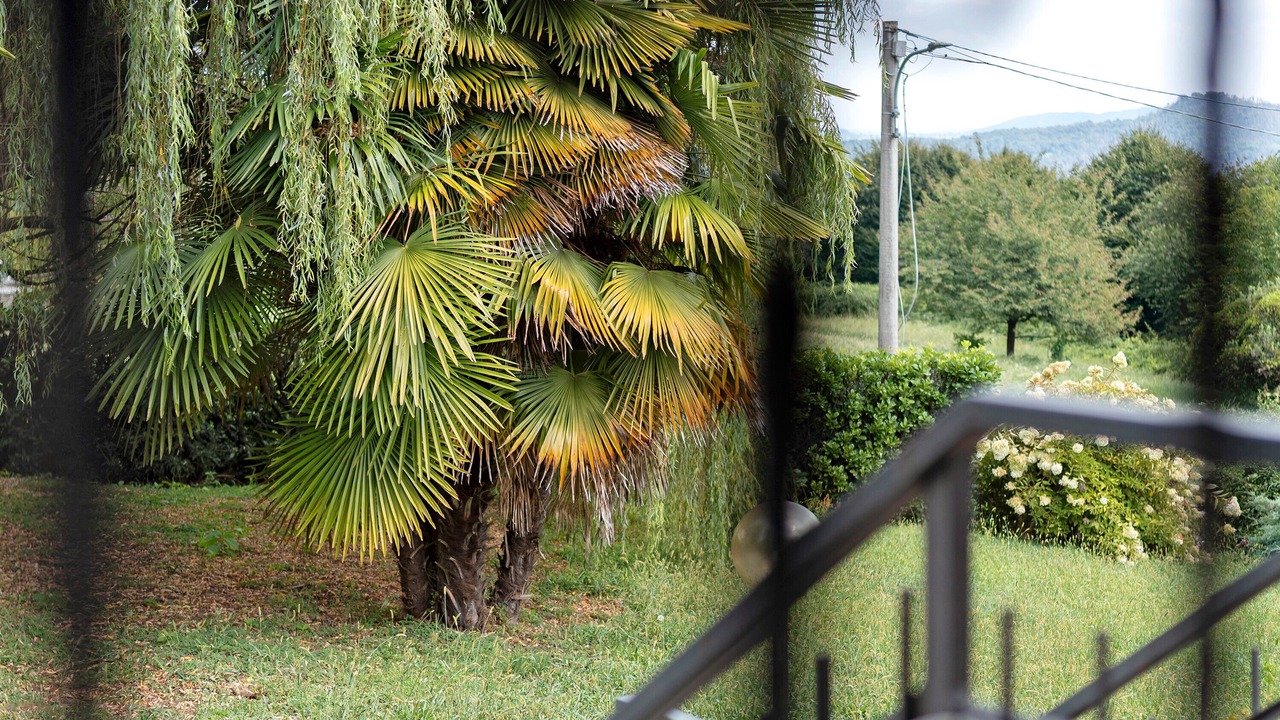 Photo of Outdoor in Nebbiuno