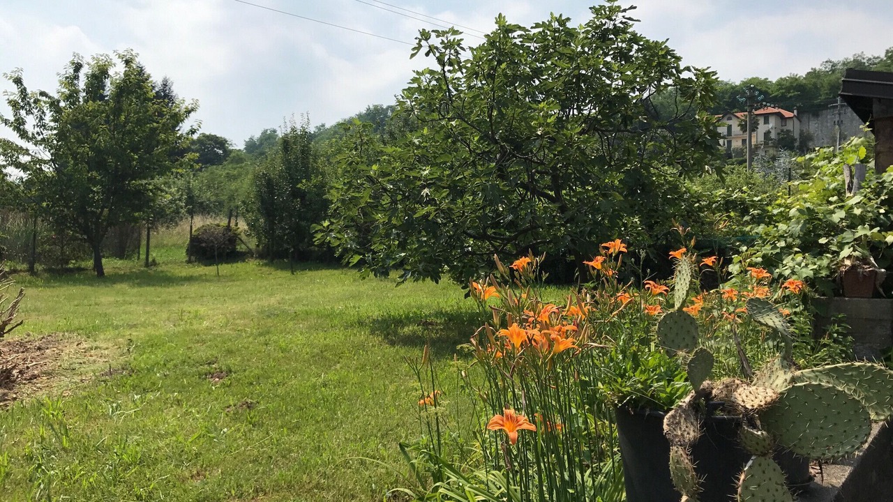 Photo of Outdoor in Nebbiuno
