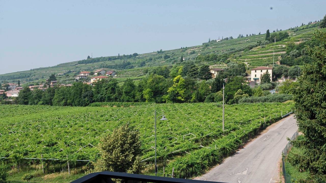 Photo of Outdoor in Valgatara