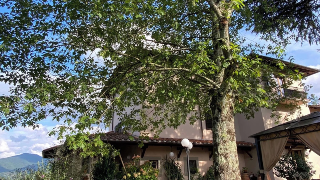 Photo of Outdoor in Dicomano