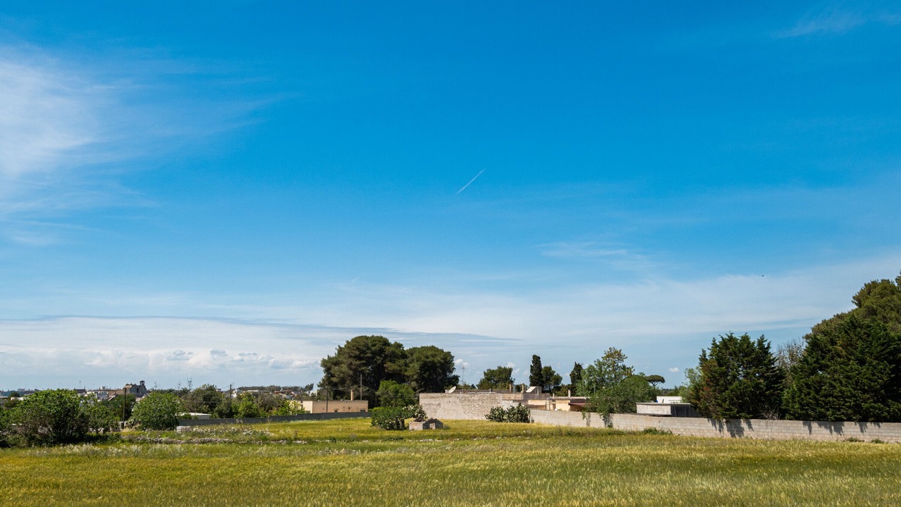 Photo of Others in Vitigliano