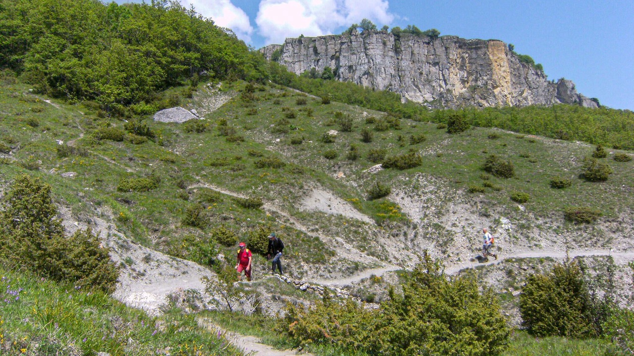 Photo of Others in Sestino