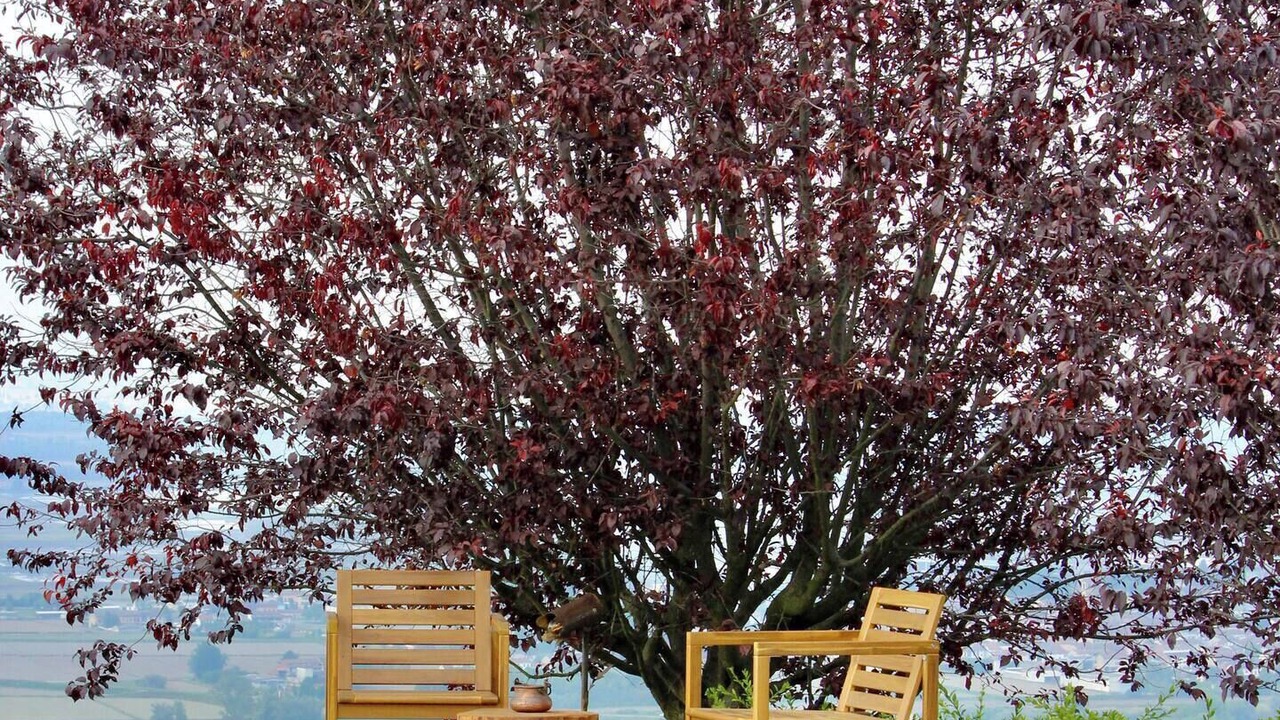 Photo of Outdoor in Cantavenna