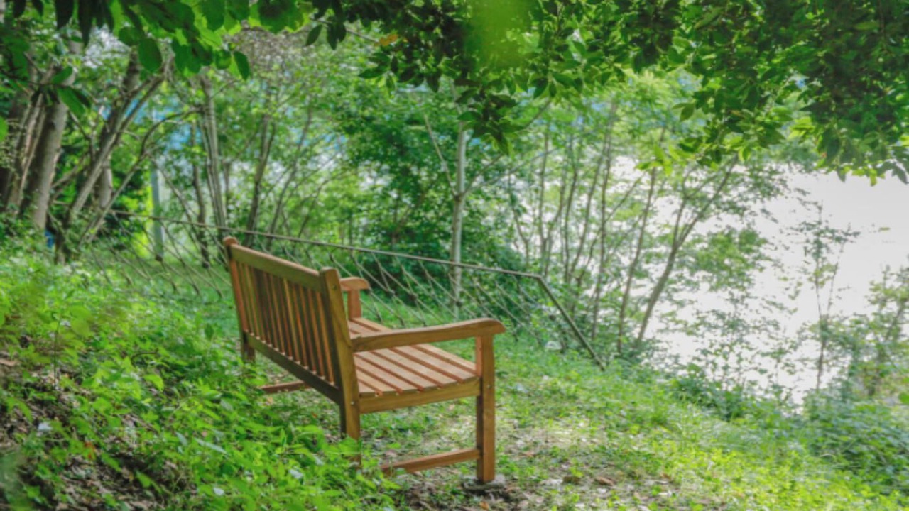 Photo of Outdoor in Bellano