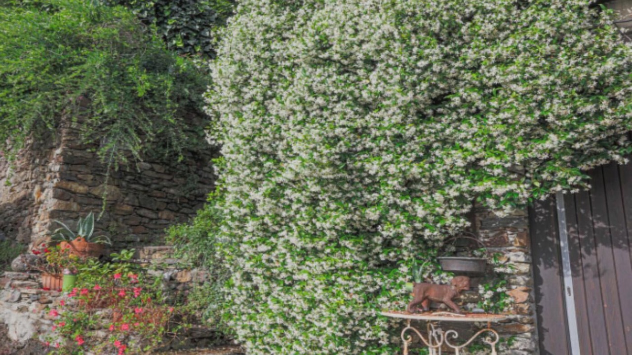 Photo of Outdoor in Bellano