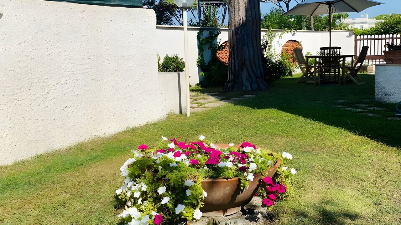 Photo of Outdoor in Latina Lido