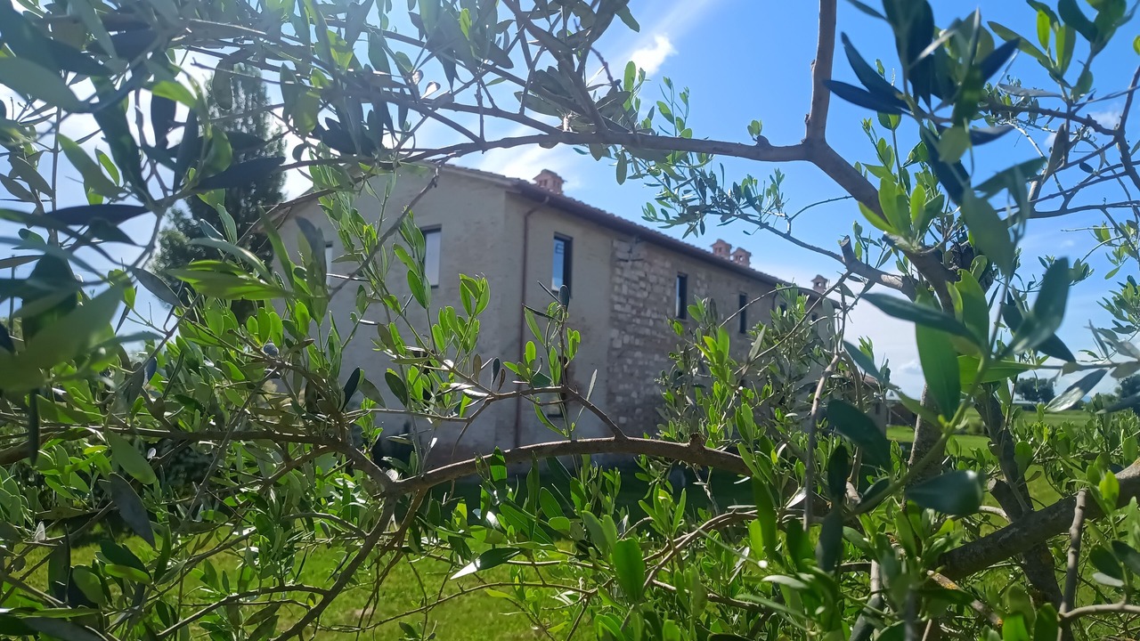 Photo of Outdoor in Assisi