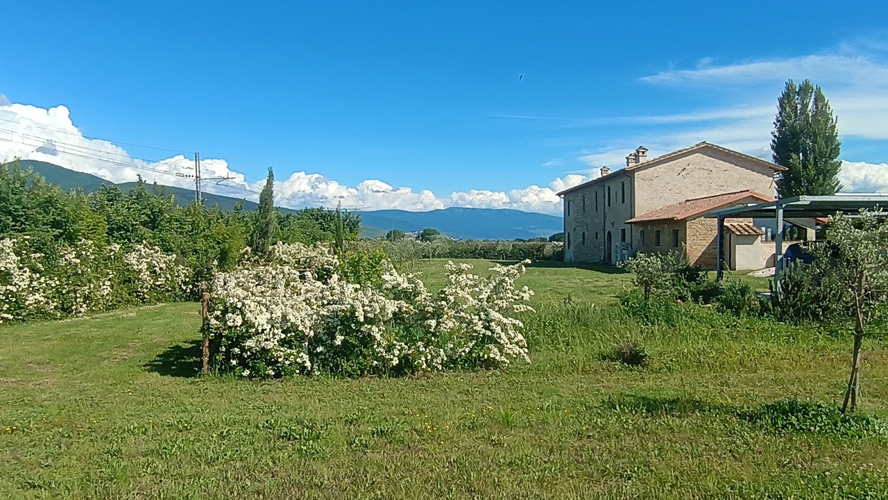 Photo of Outdoor in Assisi