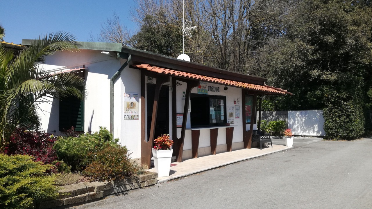 Photo of Others in Marina di Massa
