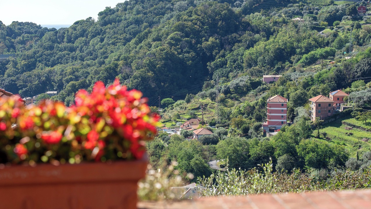 Photo of Others in Voltri