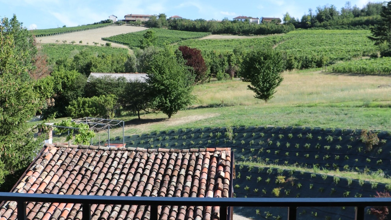 Photo of Outdoor in Moasca
