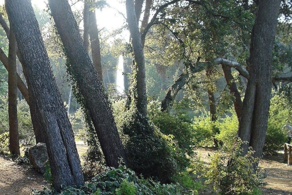 Photo of Outdoor in Pineta