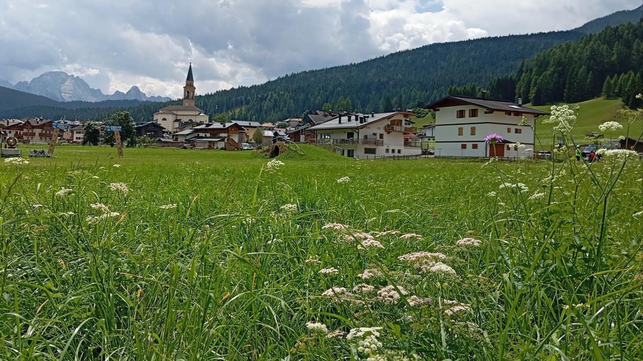 Photo of Outdoor in Padola