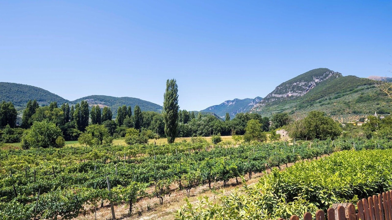 Photo of Outdoor in Precetto