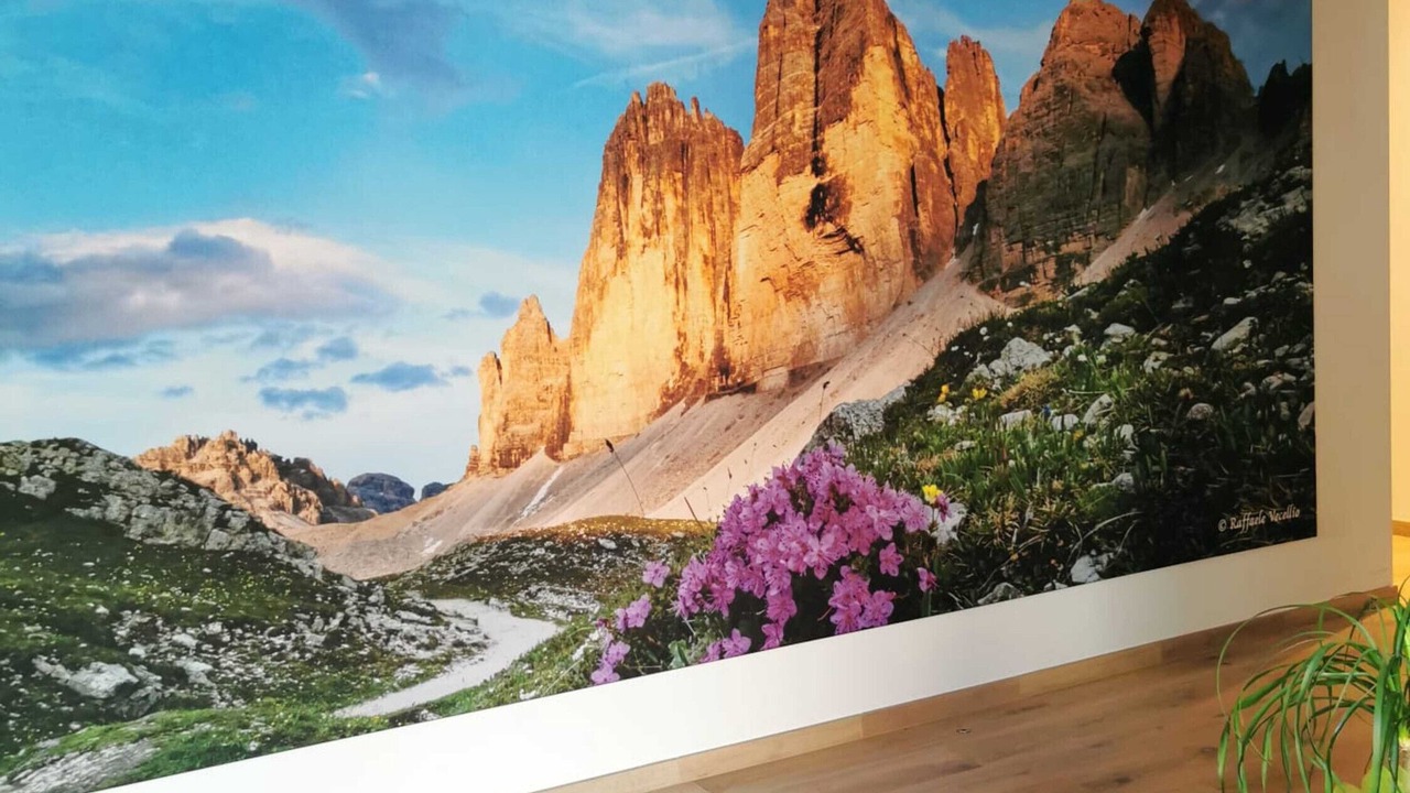 Photo of Others in Lozzo di Cadore