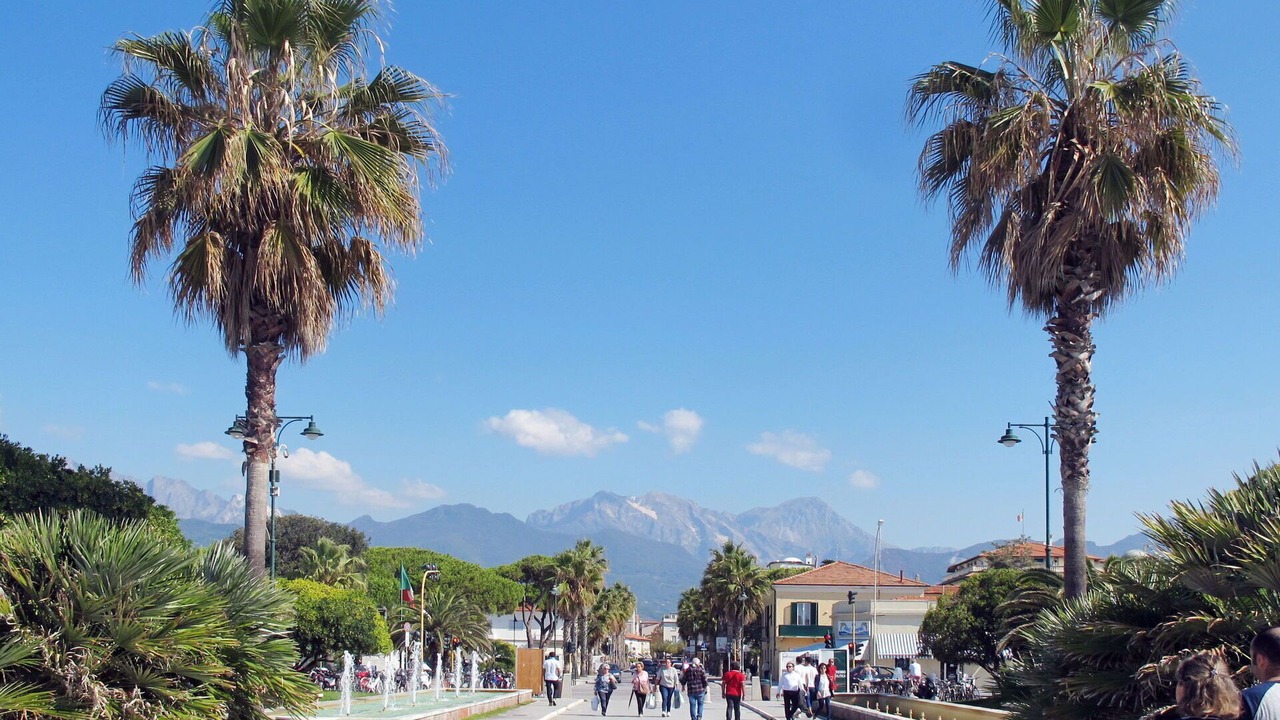 Photo of Outdoor in Querceta