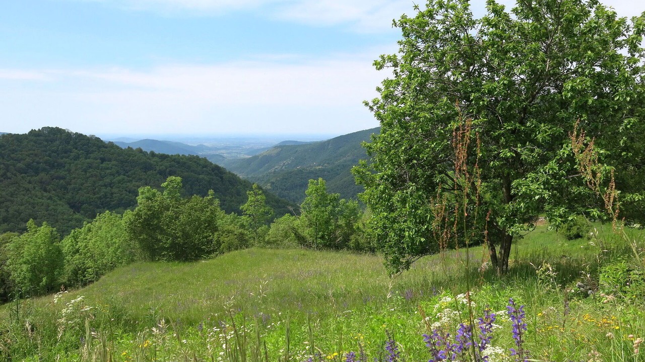 Photo of Others in Savogna