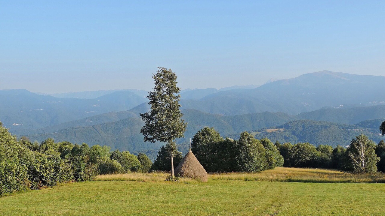 Photo of Others in Savogna