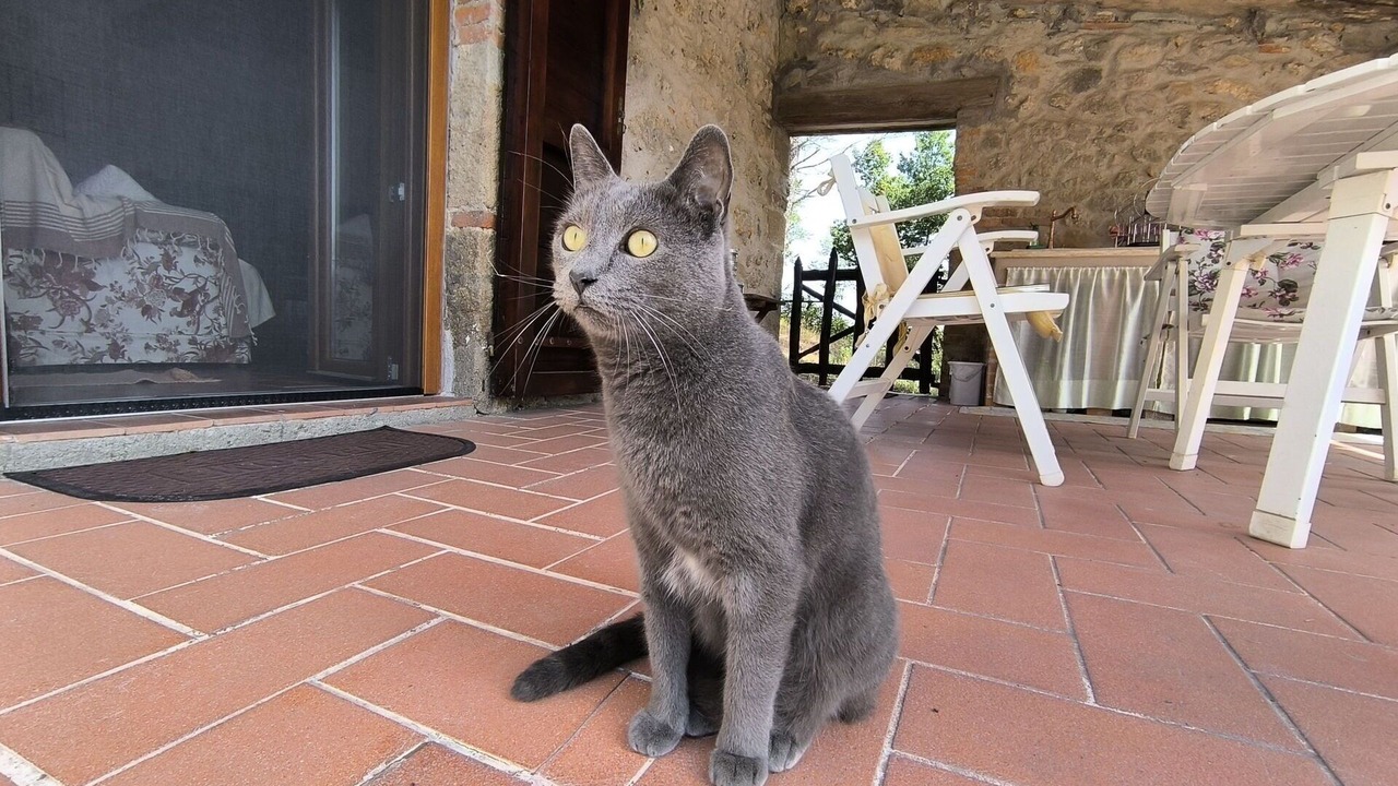 Photo of Others in Massa Marittima