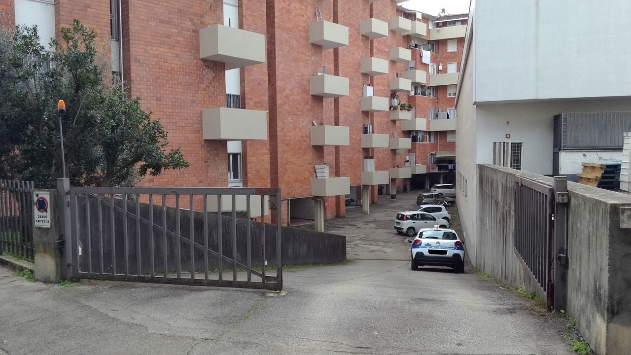 Photo of Others in Isolotto