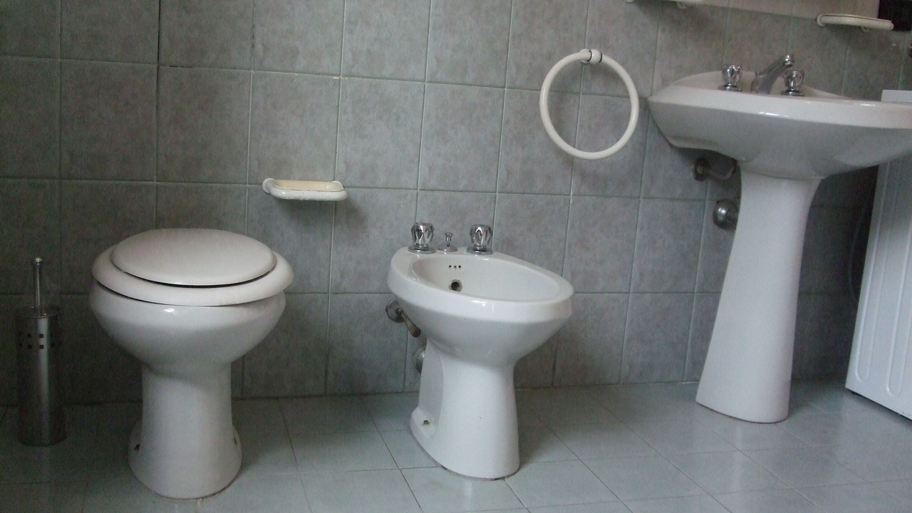 Photo of Bathroom in Leno