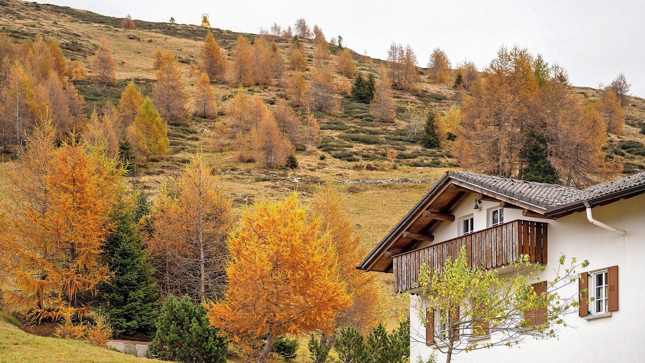 Photo of Outdoor in Campodolcino