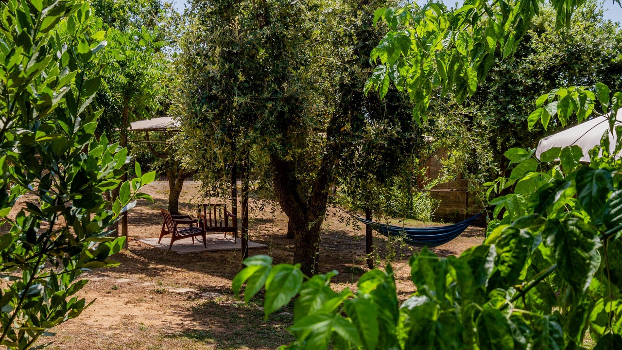 Photo of Outdoor in Grosseto