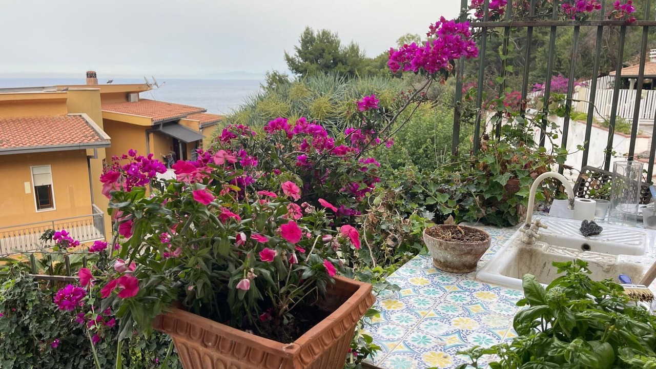 Photo of Outdoor in Addaura