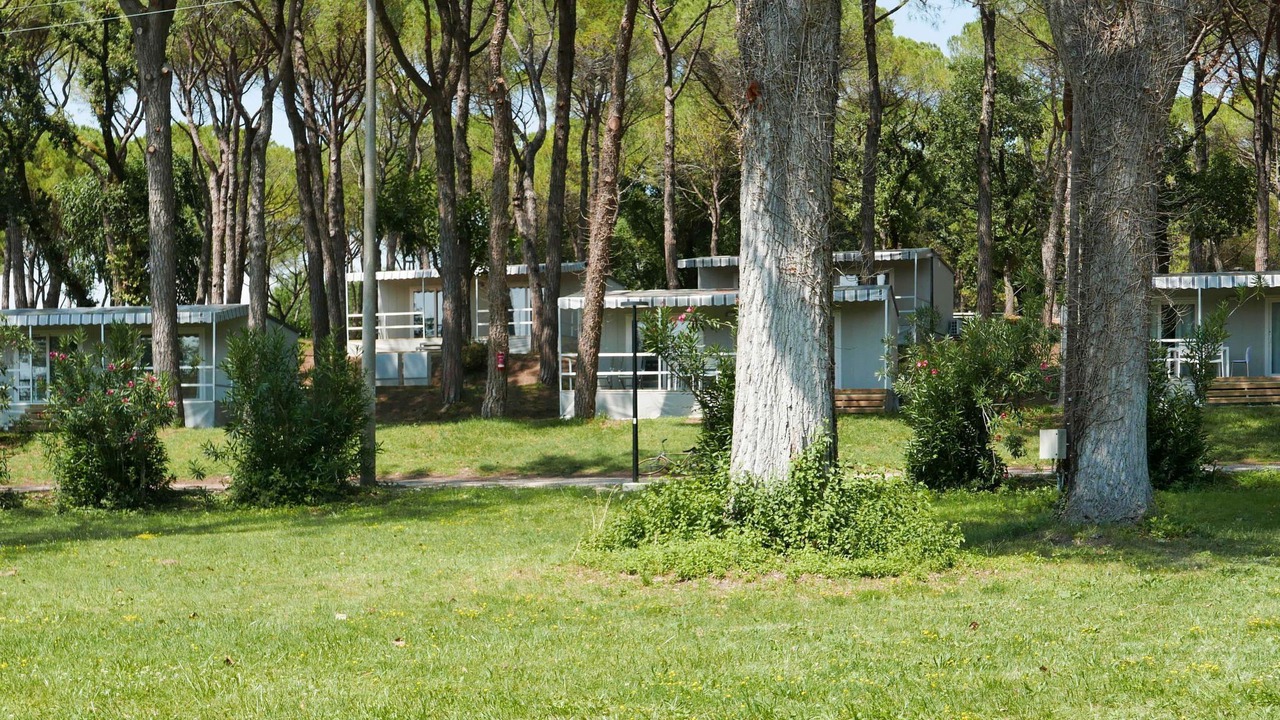 Photo of Others in Aquileia