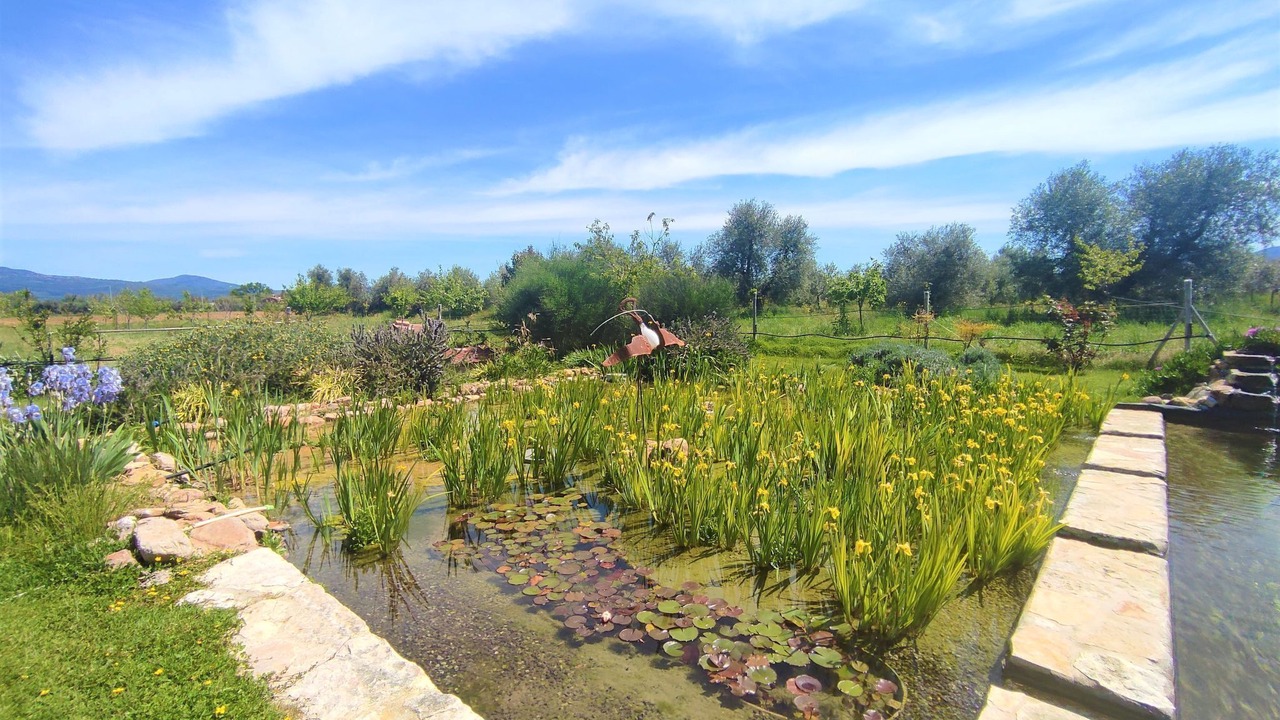 Photo of Outdoor in Roccastrada
