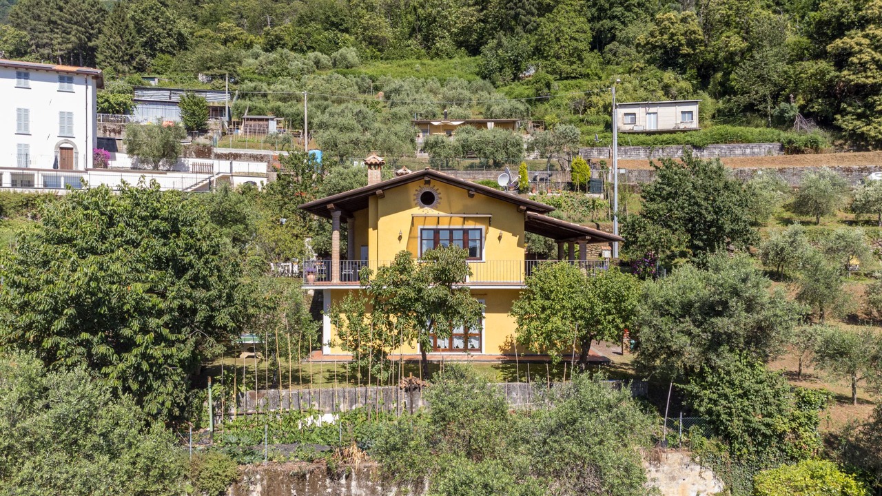 Photo of Others in Montignoso