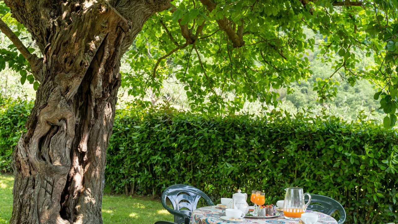 Photo of Outdoor in Dicomano