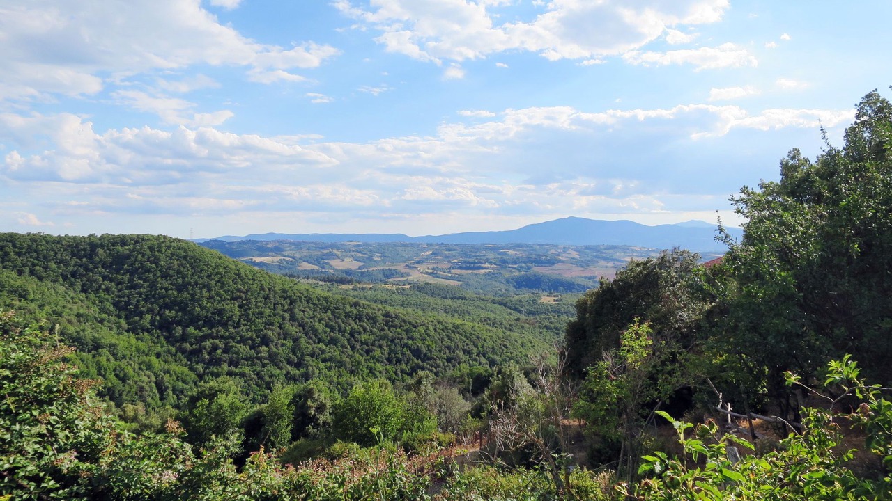 Photo of Others in Paciano
