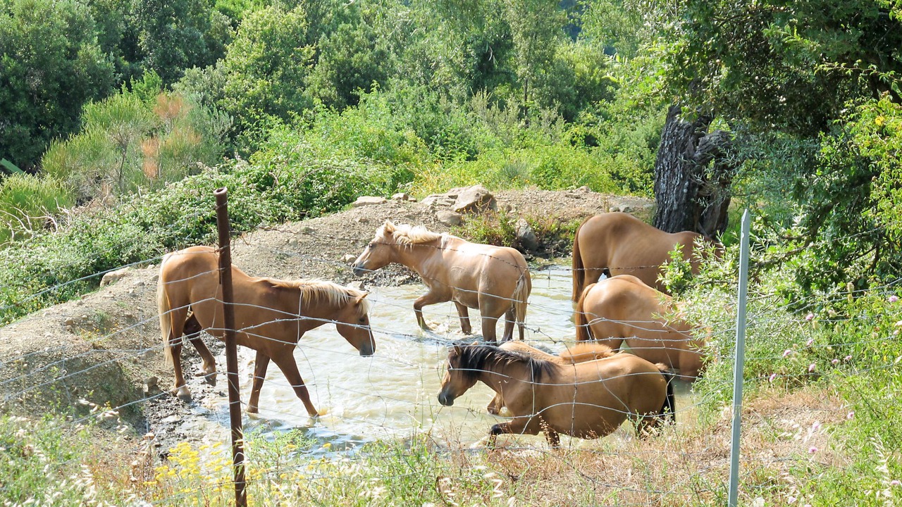 Photo of Outdoor in Paciano