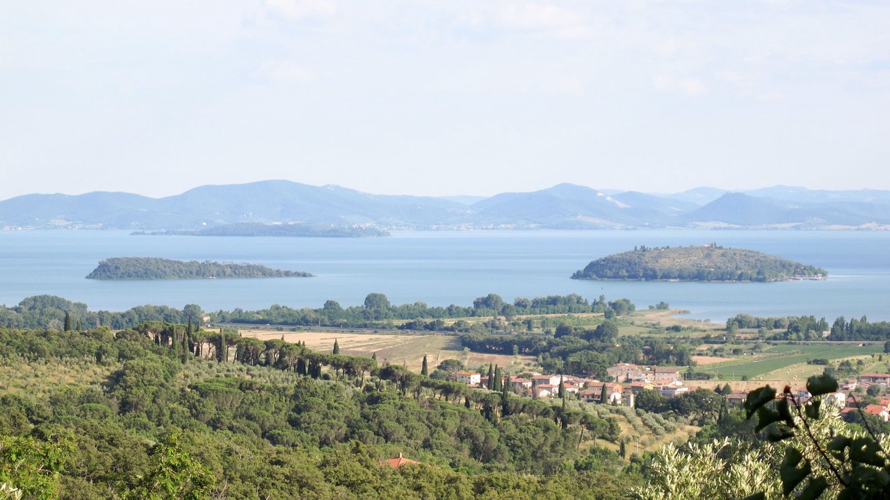 Photo of Others in Paciano
