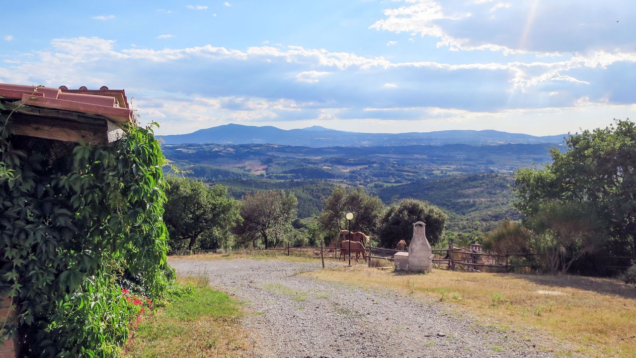 Photo of Others in Paciano