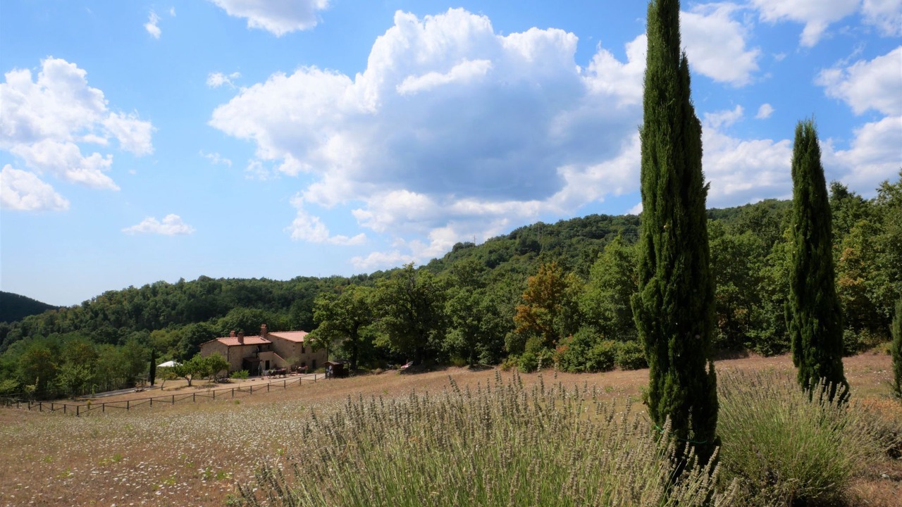 Photo of Others in Massa Marittima