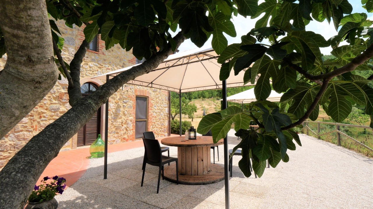 Photo of Others in Massa Marittima