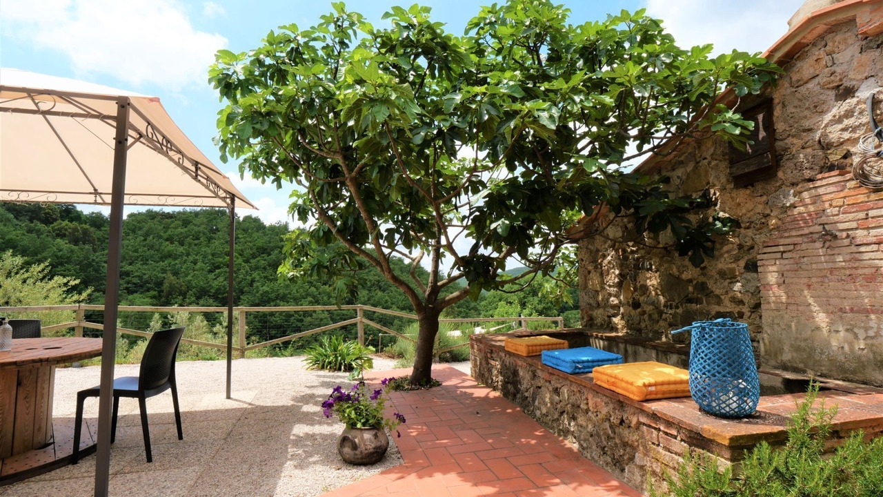 Photo of Others in Massa Marittima