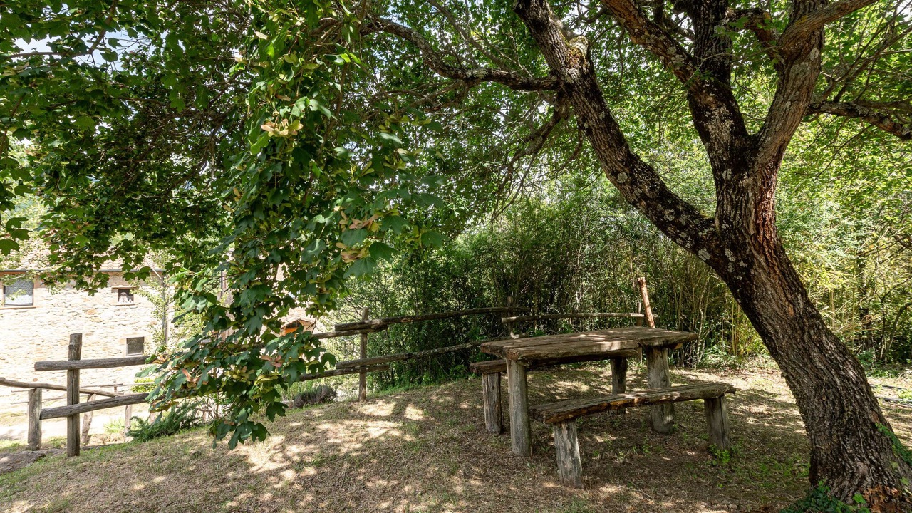 Photo of Outdoor in Montieri