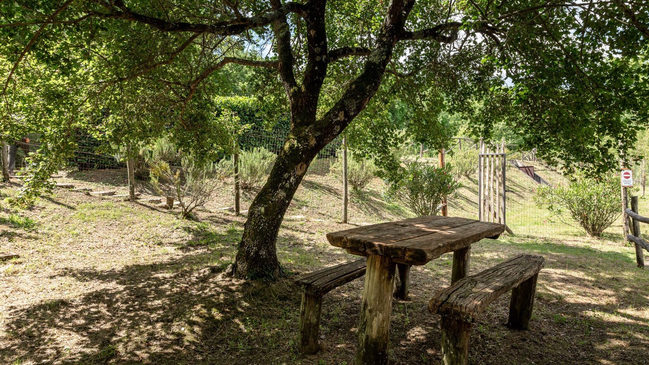 Photo of Outdoor in Montieri
