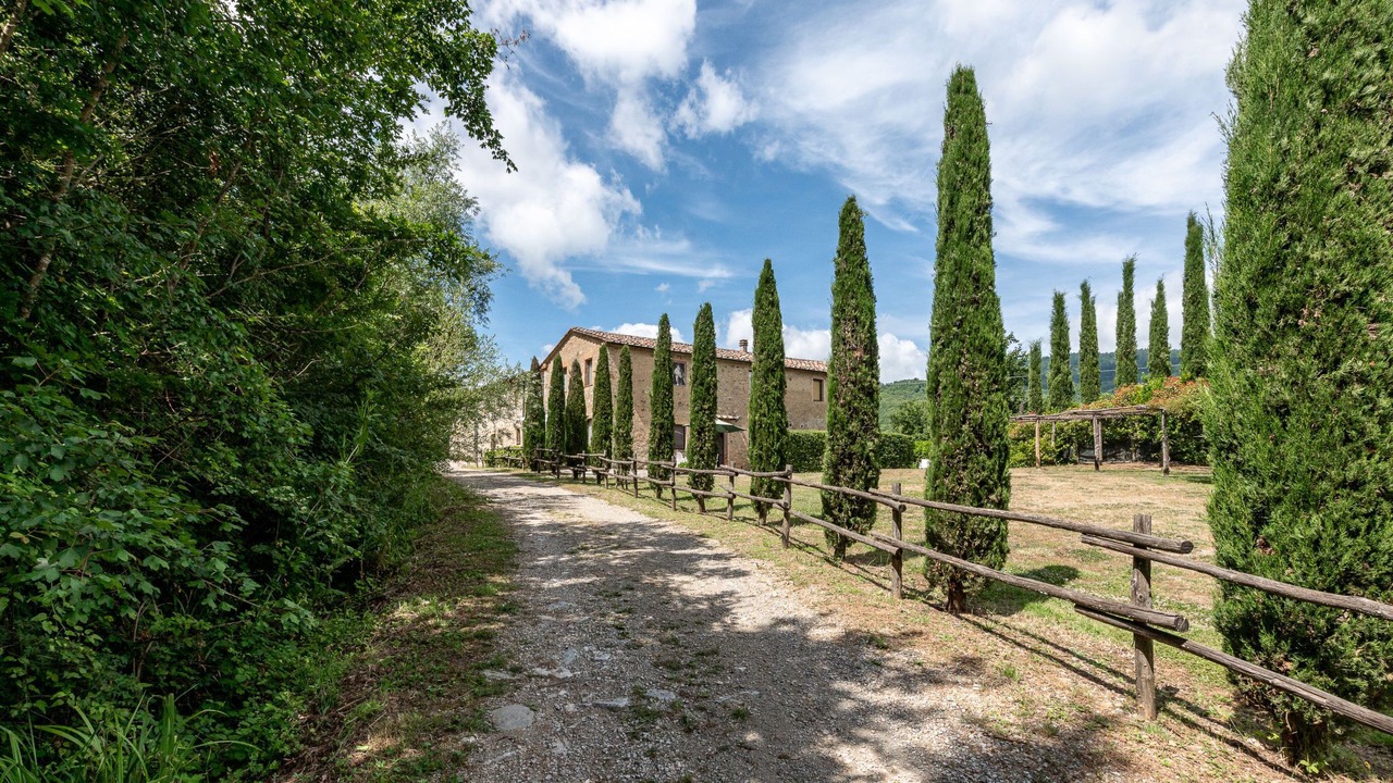 Photo of Others in Montieri
