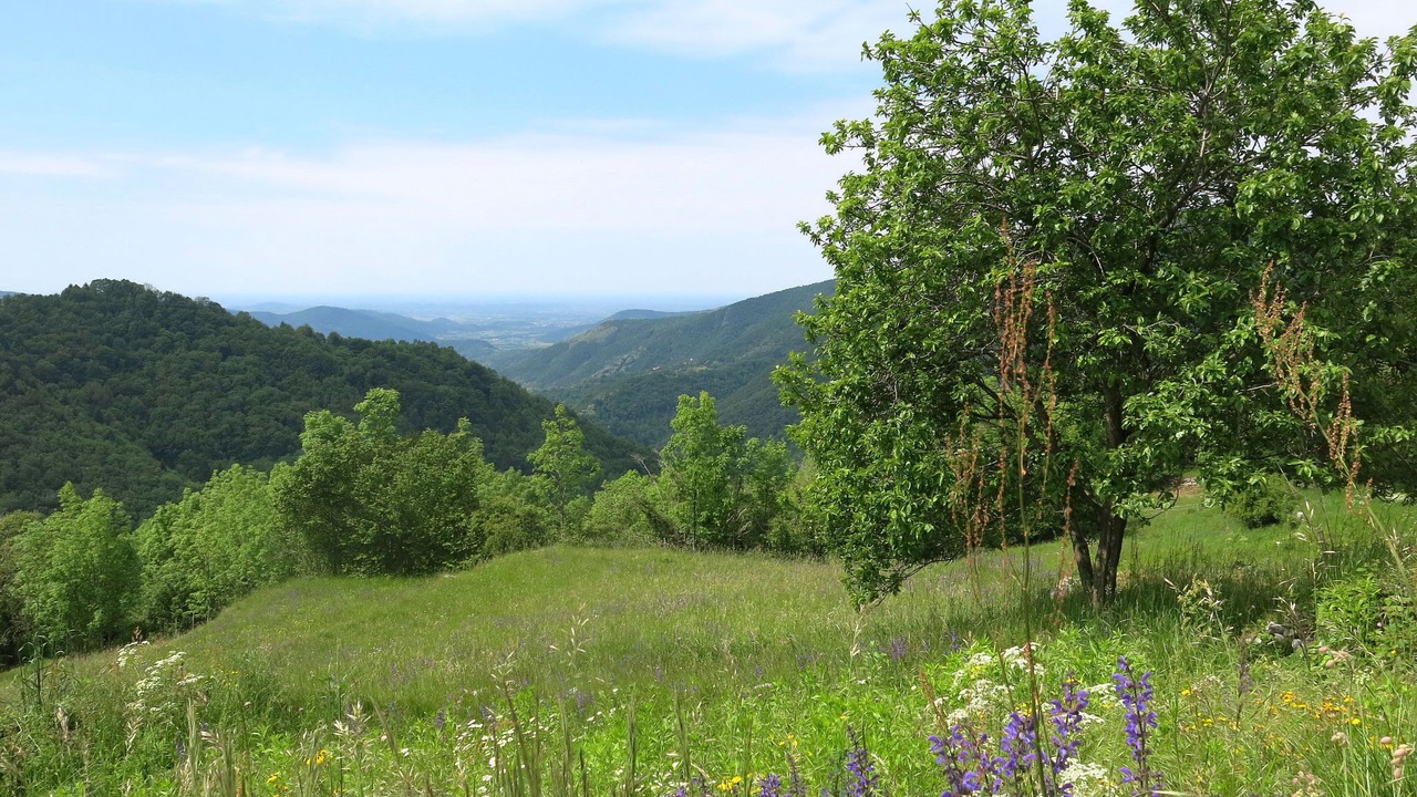 Photo of Outdoor in Cepletischis