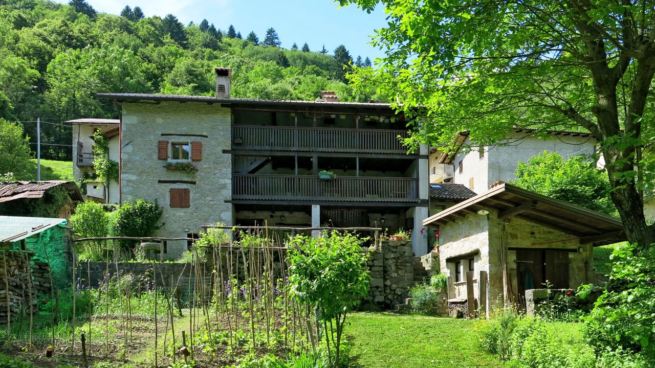 Photo of Others in Cepletischis