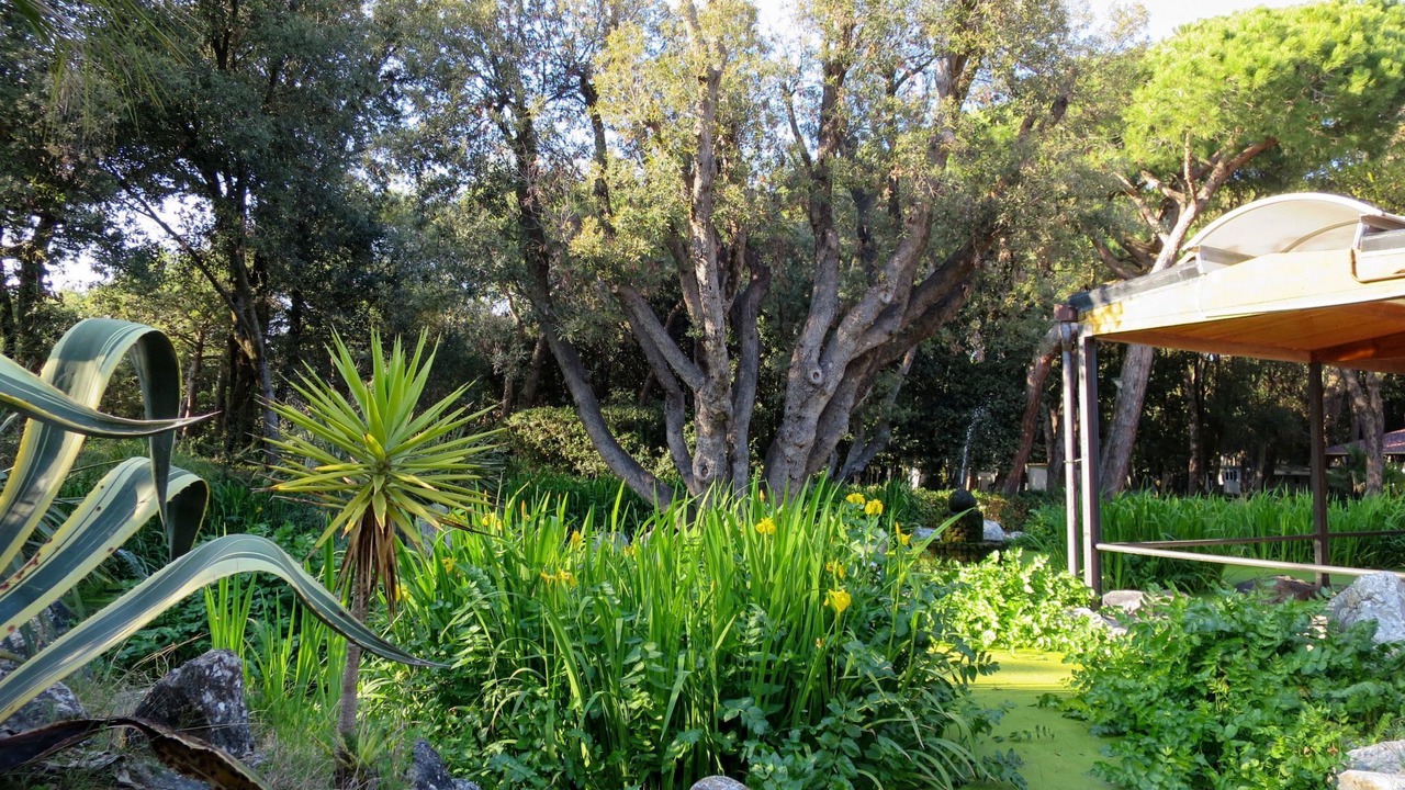 Photo of Outdoor in Baia Domizia