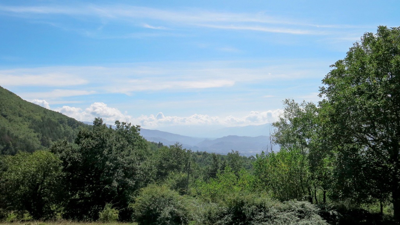 Photo of Others in San Romano in Garfagnana