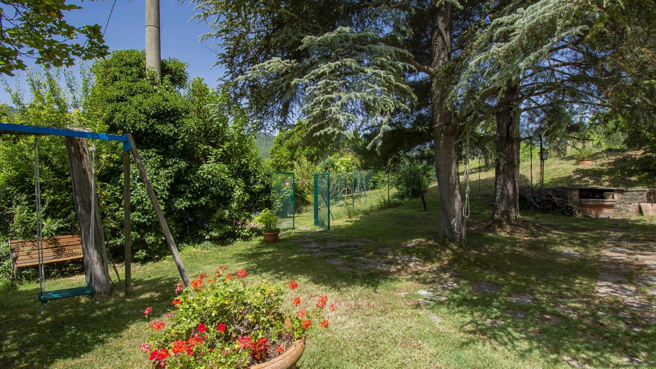 Photo of Outdoor in Scopeti