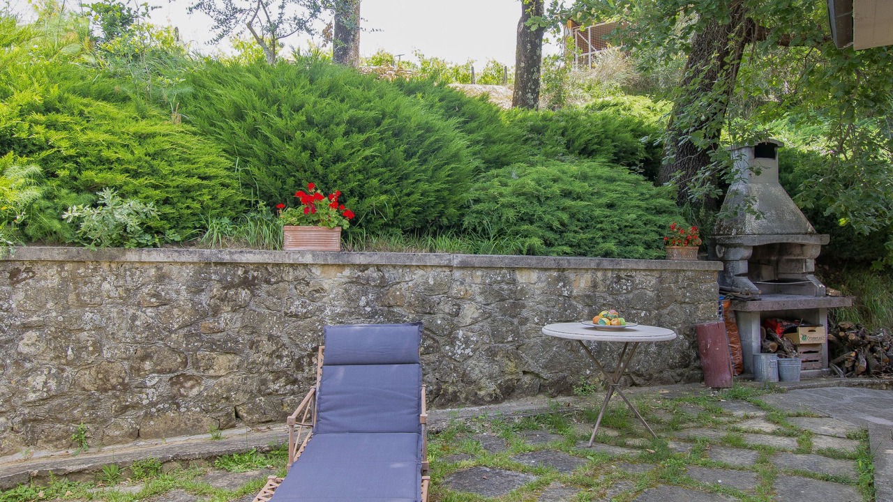 Photo of Outdoor in Scopeti