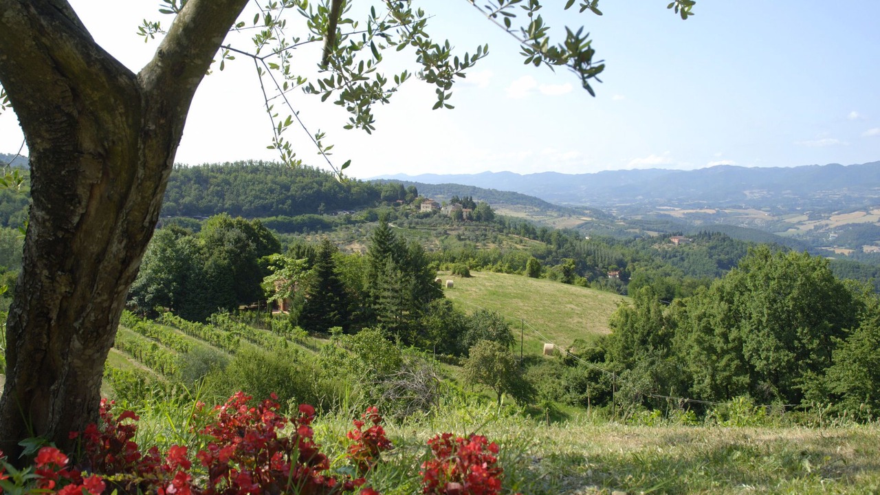 Photo of Others in Dicomano